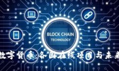 探索数字货币：各国在线项目与未来趋势