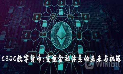 CBDC数字货币：重塑金融体系的未来与机遇