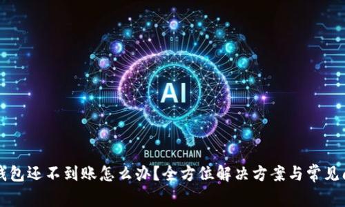 以太坊钱包还不到账怎么办？全方位解决方案与常见问题解析