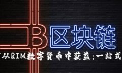如何从RIM数字货币中获益：一站式指南