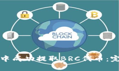 如何在以太坊钱包中成功提取BRC代币：完整指南与最佳实践