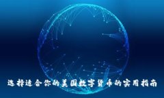 选择适合你的美国数字货币的实用指南