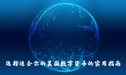 选择适合你的美国数字货币的实用指南