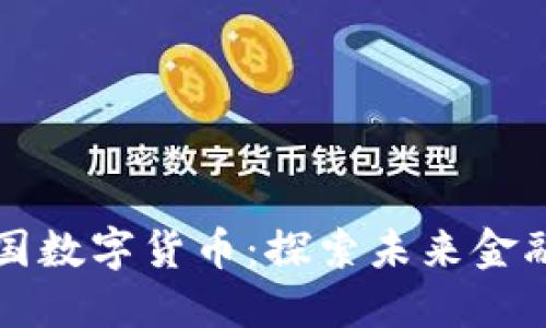 权威解读中国数字货币：探索未来金融的关键力量