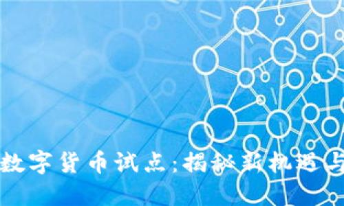 成都数字货币试点：揭秘新机遇与挑战