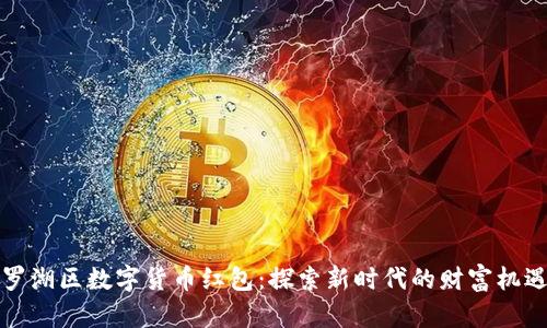 罗湖区数字货币红包：探索新时代的财富机遇