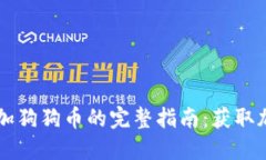 以太坊钱包中添加狗狗币的完整指南：获取加密