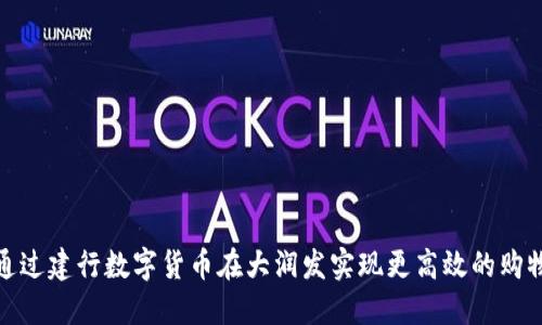 如何通过建行数字货币在大润发实现更高效的购物体验