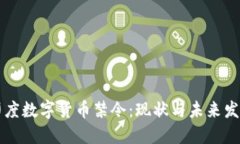 印度数字货币禁令：现状与未来发展