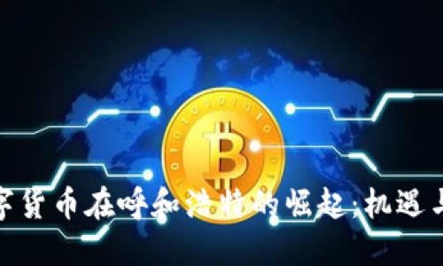 : 数字货币在呼和浩特的崛起：机遇与挑战