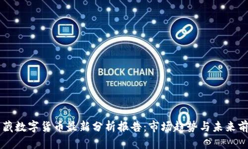 西藏数字货币最新分析报告：市场趋势与未来前景