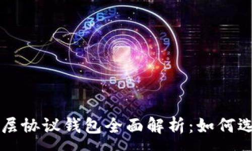 :  
以太坊二层协议钱包全面解析：如何选择与使用