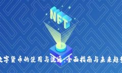 数字货币的使用与流通：全面指南与未来趋势