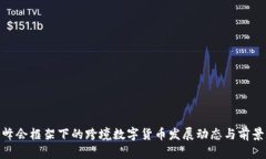G20峰会框架下的跨境数字货币发展动态与前景分