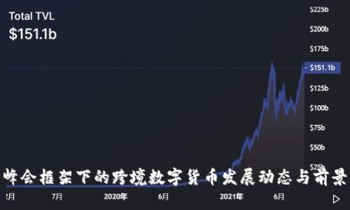 G20峰会框架下的跨境数字货币发展动态与前景分析