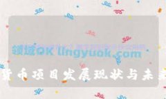 国内数字货币项目发展现状与未来趋势分析