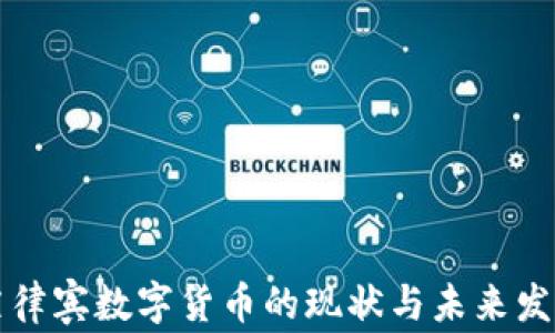 
菲律宾数字货币的现状与未来发展