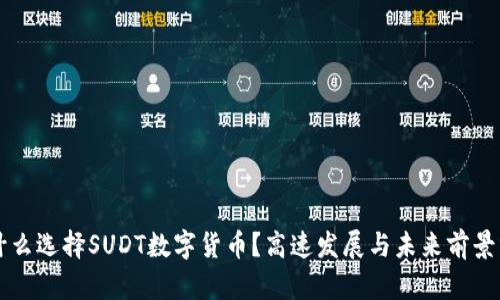 为什么选择SUDT数字货币？高速发展与未来前景分析