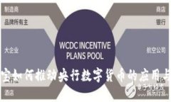 支付宝如何推动央行数字货币的应用与发展