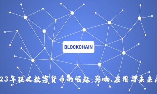 2023年狭义数字货币的崛起：影响、应用与未来展望