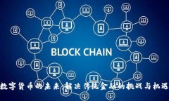 数字货币的未来：解决传统金融的挑战与机遇