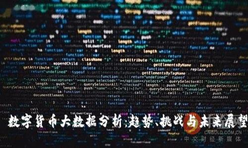  数字货币大数据分析：趋势、挑战与未来展望