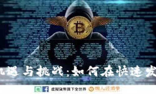 数字货币创业的机遇与挑战：如何在快速发展的市场中立足？