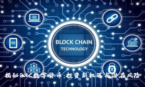 揭秘RXC数字货币：投资新机遇与潜在风险