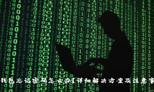 TP钱包忘记密码怎么办？详细解决方案及注意事项