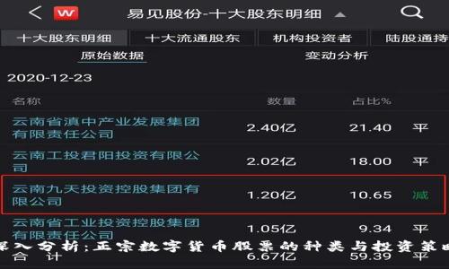 深入分析：正宗数字货币股票的种类与投资策略